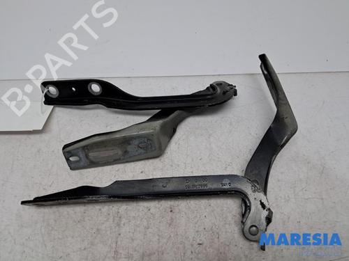 Used Hinge/Door check strap Hinge/Door check strap 36872169 36872169