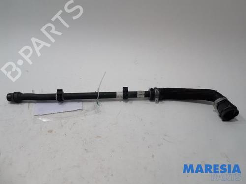 Used Other ALFA ROMEO GIULIA (952_) 2.0 (952ACA25) (280 hp) 31437886