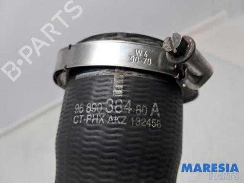 Pipe CITROËN C4 Picasso II 1.6 THP 155 | BP31503262M125