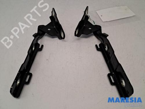 Used Hinge/Door check strap CITROËN C5 III Break (RW_) 1.6 THP 155 (156 hp) 31446943