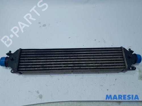 Used Intercooler FIAT DOBLO Cargo (263_) 1.3 D Multijet (90 hp) 31459513