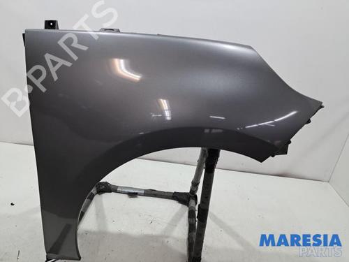 Used Right front fenders RENAULT SCÉNIC III (JZ0/1_) 1.6 16V (JZ0U, JZ1B) (110 hp) 31672867