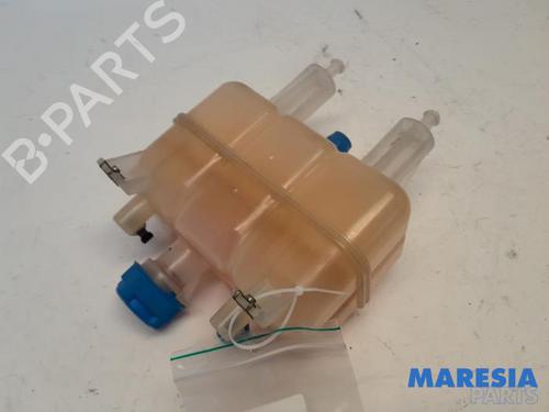 Expansion tank FIAT DUCATO Van (250_) 130 Multijet 2,3 D | BP31396485C120