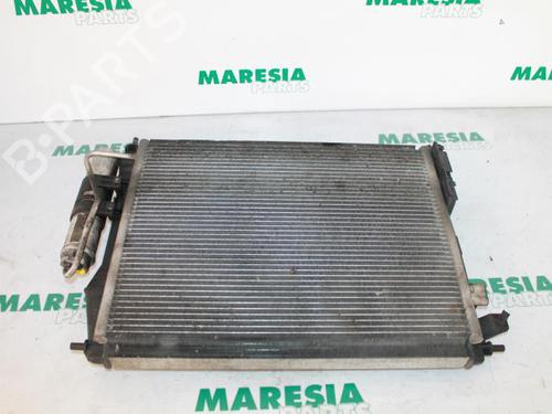 Used Water radiator RENAULT CLIO II (BB_, CB_) 1.2 16V (BB05, BB0W, BB11, BB27, BB2T, BB2U, BB2V, CB05,... (75 hp) 31468663