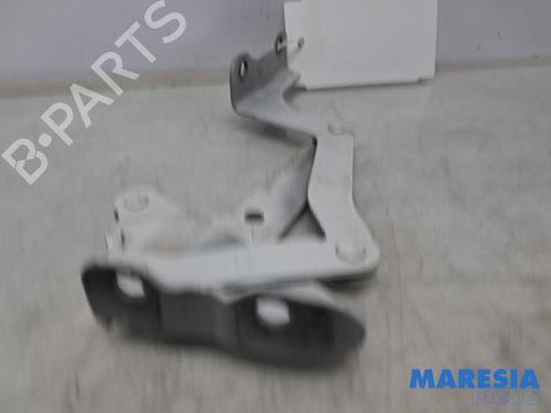 Dørhængsel/Dørbegrænser CITROËN C-ZERO C-Zero | BP39932768C146 - Image 3