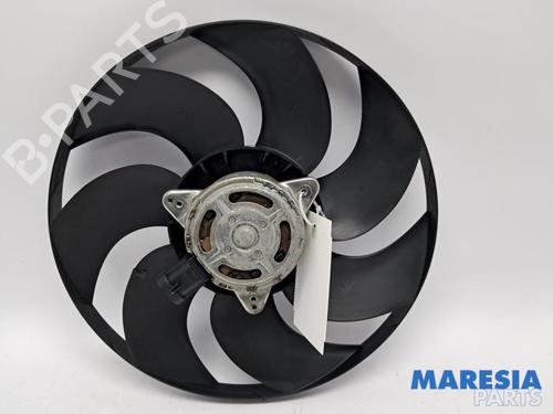 Pipe PEUGEOT 207 CC (WD_) 1.6 16V Turbo | BP31529469M125