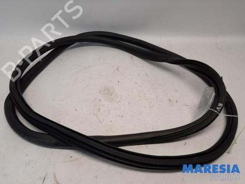 Used Rubber door seal OPEL VIVARO C Van (K0) 1.5 (102 hp) 31489806
