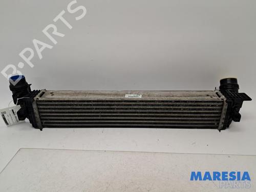 Used Intercooler RENAULT GRAND SCÉNIC III (JZ0/1_) 1.6 dCi (JZ00, JZ12) (130 hp) 31420985