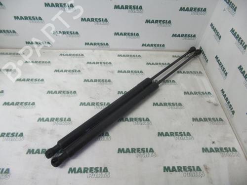 tailgate-lift-support-peugeot-207-sw-wk_-2007-2008-2009-2010-2011-2012-2013-31426019 main image