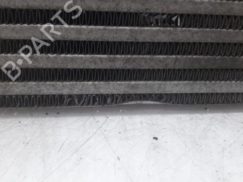 Intercooler RENAULT MEGANE III Grandtour (KZ0/1) 1.5 dCi (KZ09, KZ0D, KZ1G, KZ29, KZ14, KZ1W, KZ10, KZ1F,... | BP31466914M30 