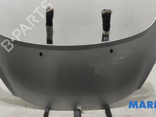 hood-peugeot-207-cc-wd_-2007-2008-2009-2010-2011-2012-2013-2014-2015-36880044 main image