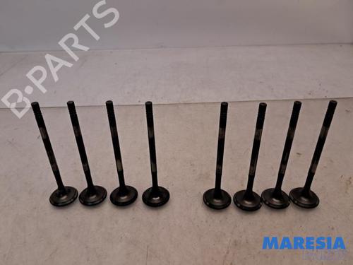 BP31407688O1 main image