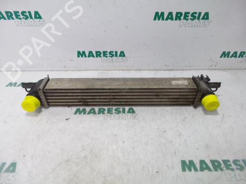 Used Intercooler FIAT QUBO (225_) 1.3 D Multijet (225CXB1A, 225AXB1A, 225CXB11, 225AXB11,... (75 hp) 31517657