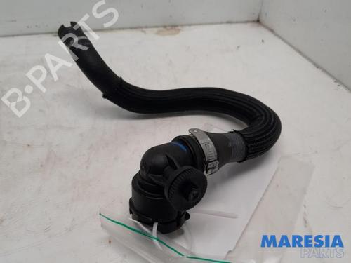 Rør ALFA ROMEO GIULIA (952_) 2.0 (952ACA25) | BP31484865M125 