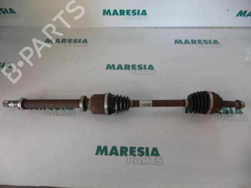 BP31442556M39 main image