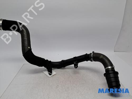 Used Exhaust system RENAULT GRAND SCÉNIC III (JZ0/1_) 1.6 dCi (JZ00, JZ12) (130 hp) 31508017