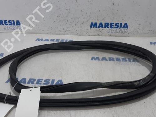 BP31503426C142 main image