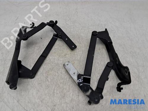 Used Hinge/Door check strap FIAT 500 C (312_) 1.2 (312CXA1A, 312AXA1A) (69 hp) 32011875