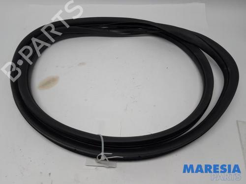 Used Rubber door seal LANCIA DELTA III (844_) 1.4 (844.AXB1A) (150 hp) 31389073
