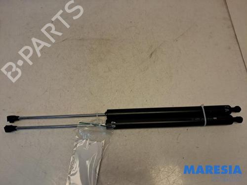 tailgate-lift-support-citroen-berlingo-multispace-b9-2008-31444462 main image