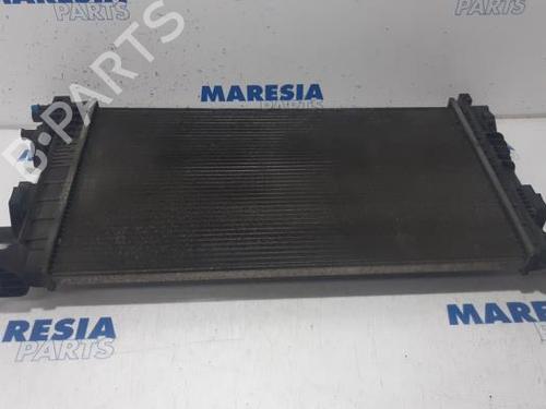 Used Water radiator Water radiator RENAULT MEGANE III Hatchback (BZ0/1_, B3_) 1.5 dCi (BZ0C) (90 hp) 31395833 31395833