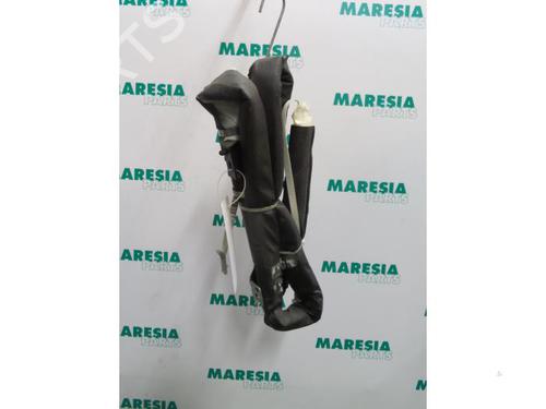 right-curtain-airbag-renault-scenic-ii-jm01_-2003-2004-2005-2006-2007-2008-2009-2010-31384746 main image