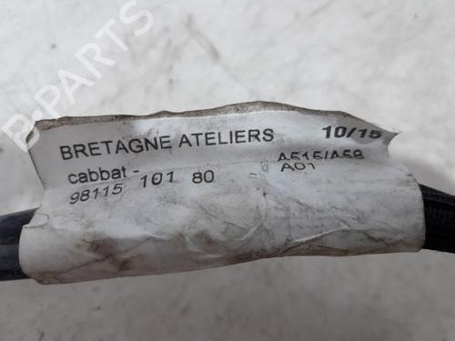 Electronic sensor CITROËN C3 II (SC_) 1.2 VTi 82 | BP31397688M84