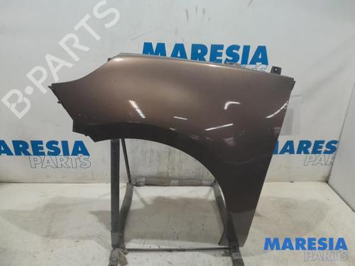 Used Left front fenders RENAULT SCÉNIC III (JZ0/1_) 2.0 16V (JZ0G, JZ0P, JZ1E, JZ1P) (140 hp) 31493900