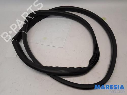 Gummiliste RENAULT TWINGO III (BCM_, BCA_) 1.0 SCe 70 (71 hp) 31466201