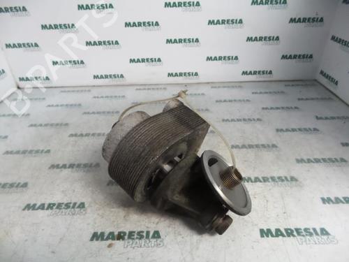 Used Oil radiator RENAULT SCÉNIC II (JM0/1_) 1.5 dCi (JM02, JM13) (101 hp) 31391946