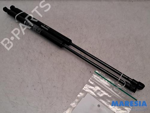 BP31451668C138 main image