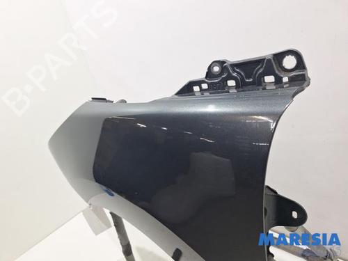 Left front fenders PEUGEOT 5008 (0U_, 0E_) 1.6 16V | BP31397869C41