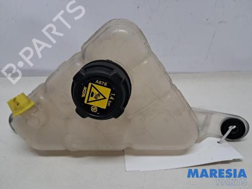 Ekspansjonstank ALFA ROMEO GIULIA (952_) 2.9 Quadrifoglio (952AAM24) (510 hp) 32011835