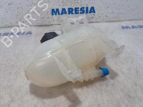Used Expansion tank OPEL VIVARO B Van (X82) 1.6 CDTI (05) (90 hp) 31412001