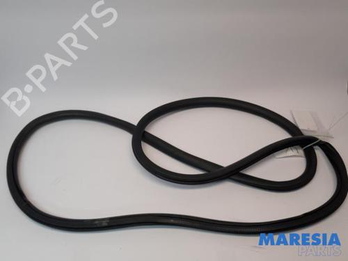 Gummiliste PEUGEOT EXPERT Van (V_) 2.0 BlueHDi 120 (122 hp) 31404755