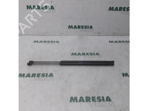 tailgate-lift-support-citroen-c4-grand-picasso-i-ua_-2006-2007-2008-2009-2010-2011-2012-2013-31495013 main image