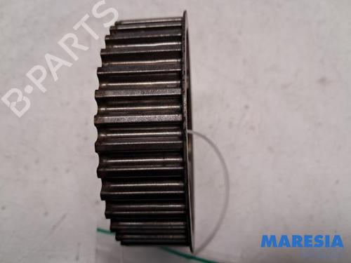 Pulley RENAULT CLIO III (BR0/1, CR0/1) 1.4 16V | BP31438758M122