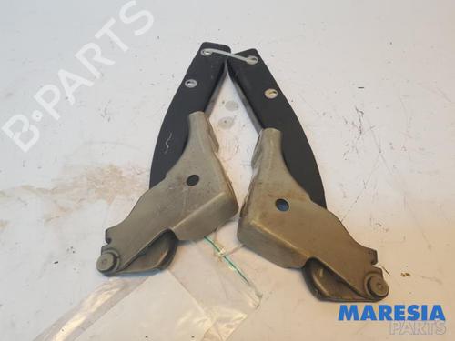 Hinge/Door check strap FIAT PUNTO (199_) 0.9 | BP31383802C146 