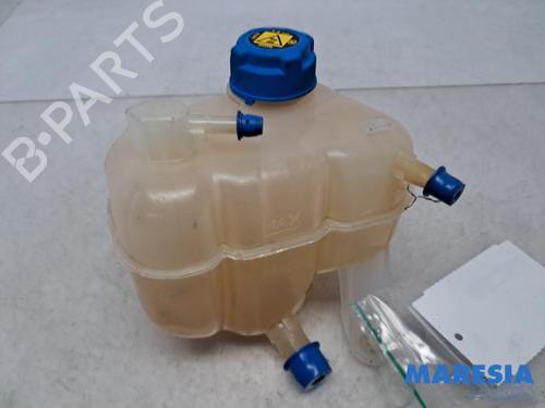 expansion-tank-fiat-panda-312_-319_-2012-31442777 main image