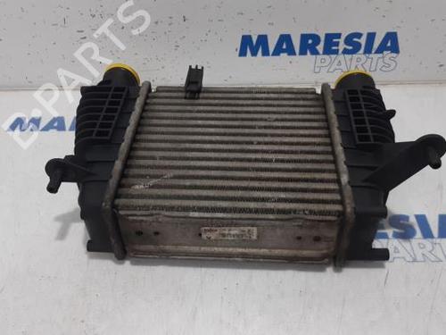 Used Intercooler RENAULT CLIO III Hatchback Van (SB_, SR_) 1.5 dCi (68 hp) 31524925