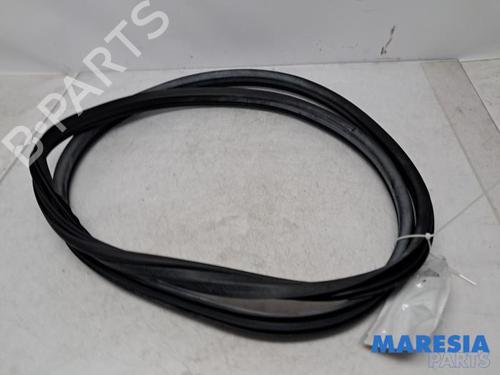 Used Rubber door seal FIAT 500L (351_, 352_) 0.9 (199LYC1B) (105 hp) 31409113