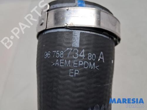 Pipe CITROËN C4 Grand Picasso II (DA_, DE_) 1.6 THP 165 | BP31383858M125