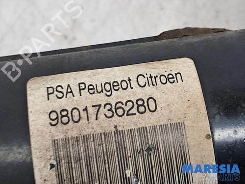 Left front shock absorber CITROËN C3 II (SC_) 1.2 VTi 82 | BP31428679M16 