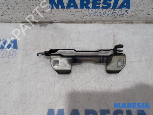 Hinge/Door check strap ALFA ROMEO 159 (939_) 1.9 JTS (939AXA1B) | BP31474701C146