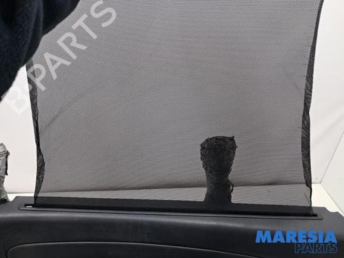 Rear left panel RENAULT GRAND SCÉNIC III (JZ0/1_) 2.0 16V (JZ0G) | BP31466404C60