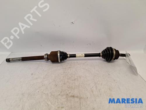 BP31518661M39 main image