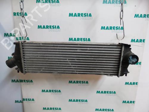 Intercooler RENAULT TRAFIC II Van (FL) 2.0 dCi 90 (FL0H, FL00, FL01, FL0M, FL0P, FL0S) (90 hp) 31390189