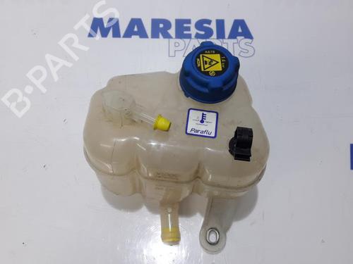 expansion-tank-fiat-panda-312_-319_-2012-31469611 main image