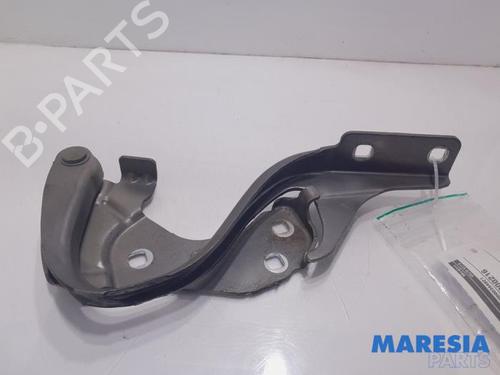 Used Hinge/Door check strap FIAT 500 (312_) 1.2 (312AXA1A) (69 hp) 31465776