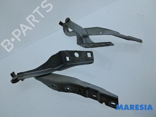 hingedoor-check-strap-peugeot-308-cc-4b_-2009-2010-2011-2012-2013-2014-2015-33707807 main image